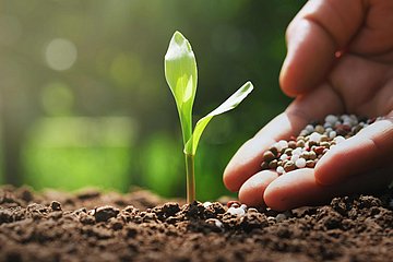用于合成农药活性成分的混合干燥反应器