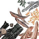 这些是制作日式高汤的基本原料。