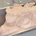 这种粘稠的塑性物质可以通过amixon®糊料料仓安全排出，并在amixon®真空反应器中干燥。