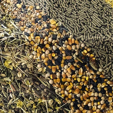 宠物食品